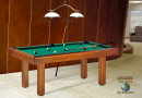 Billard du Monde Danube
